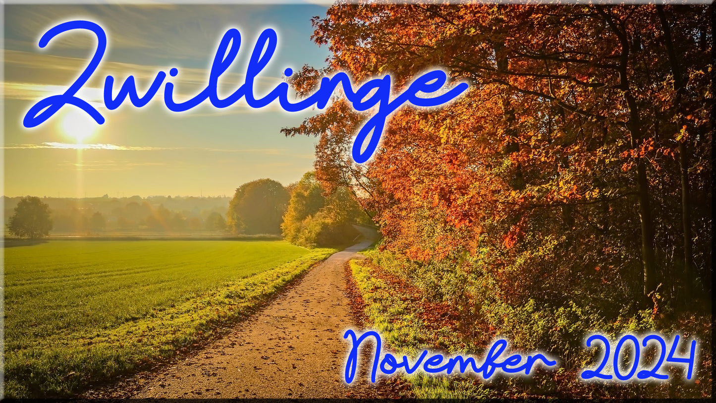 ♊ Zwillinge - November 2024 ♊