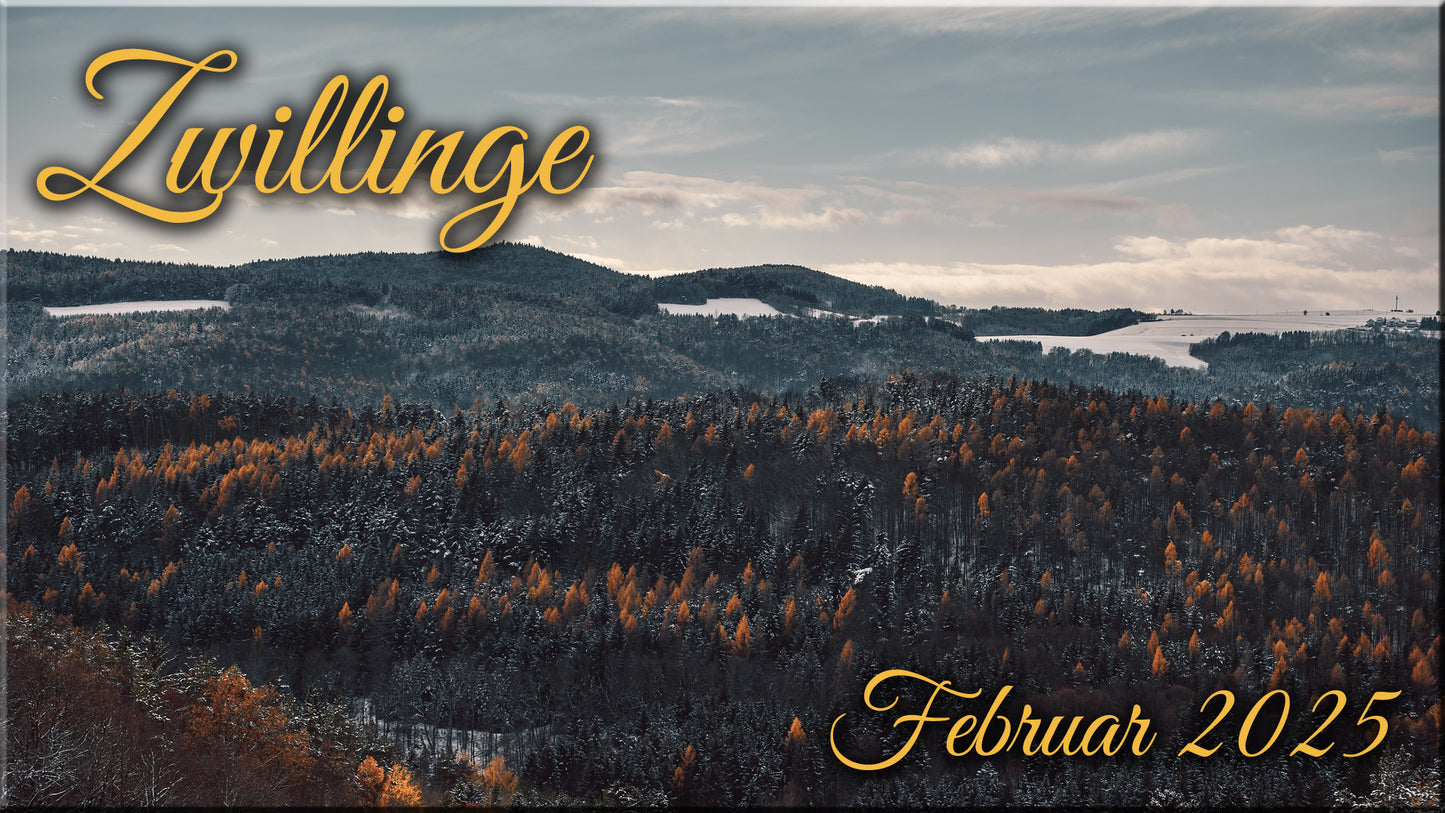 ♊ Zwillinge - Februar 2025 ♊
