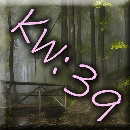Wochenausblick KW 39