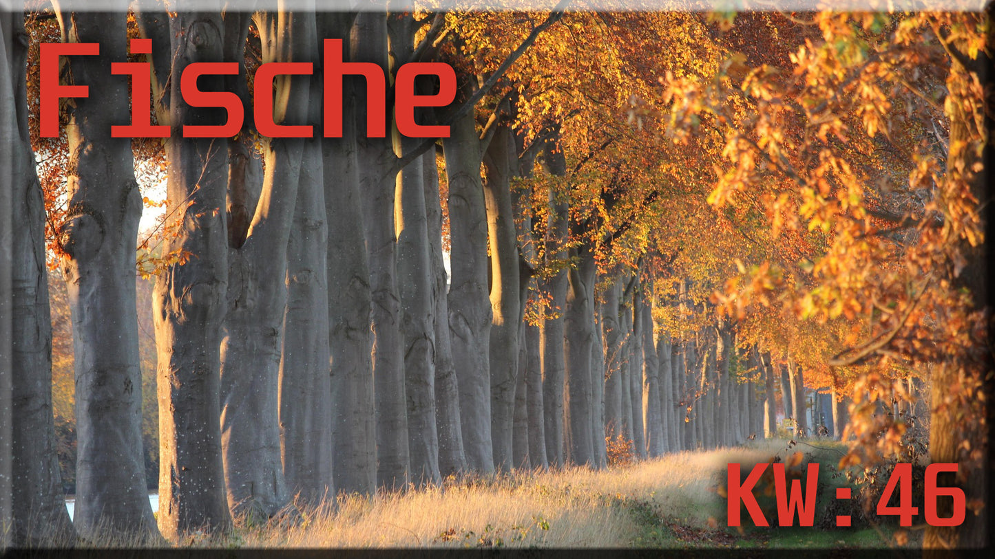 ♓ Fische - KW 46 ♓