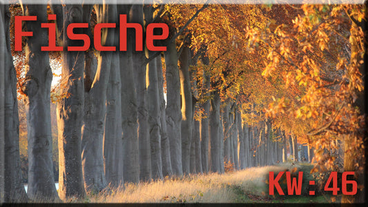 ♓ Fische - KW 46 ♓