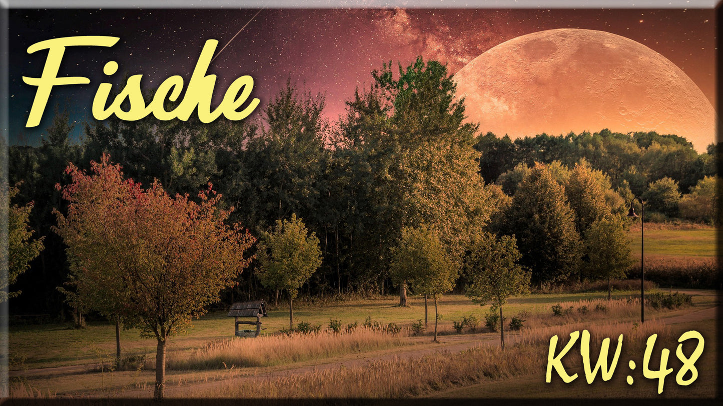 ♓ Fische - KW 48 ♓