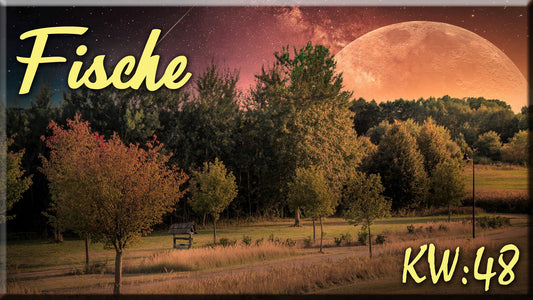 ♓ Fische - KW 48 ♓
