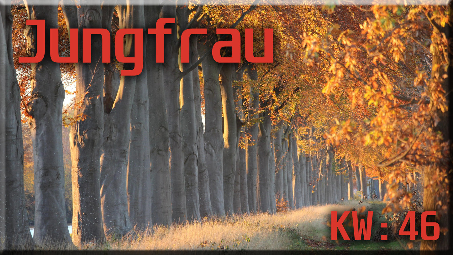 ♍ Jungfrau - KW 46 ♍