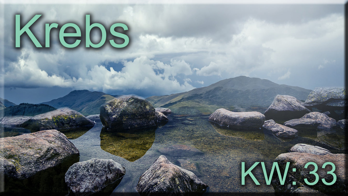 ♋ Krebs - KW 33 ♋