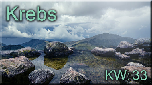 ♋ Krebs - KW 33 ♋