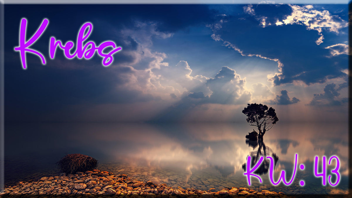 ♋ Krebs - KW 43 ♋