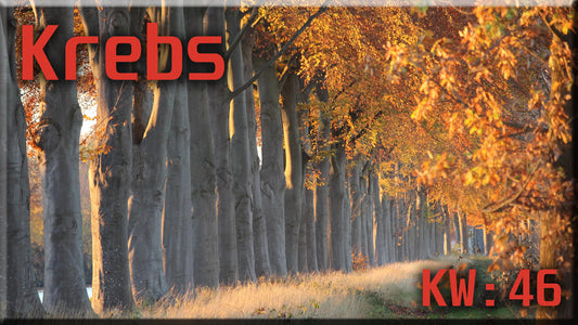 ♋ Krebs - KW 46 ♋