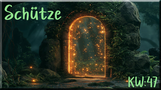 ♐ Schütze - KW 47 ♐