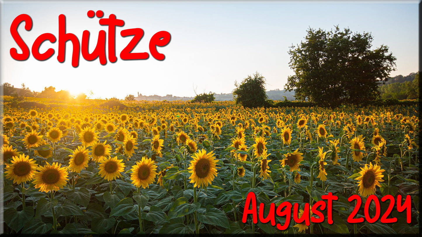 ♐ Schütze - August 2024 ♐