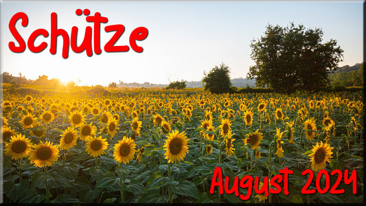 ♐ Schütze - August 2024 ♐