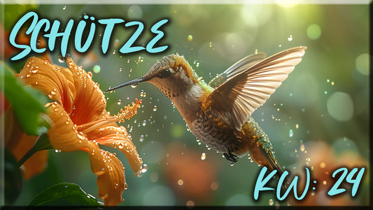 ♐ Schütze - KW 24 ♐