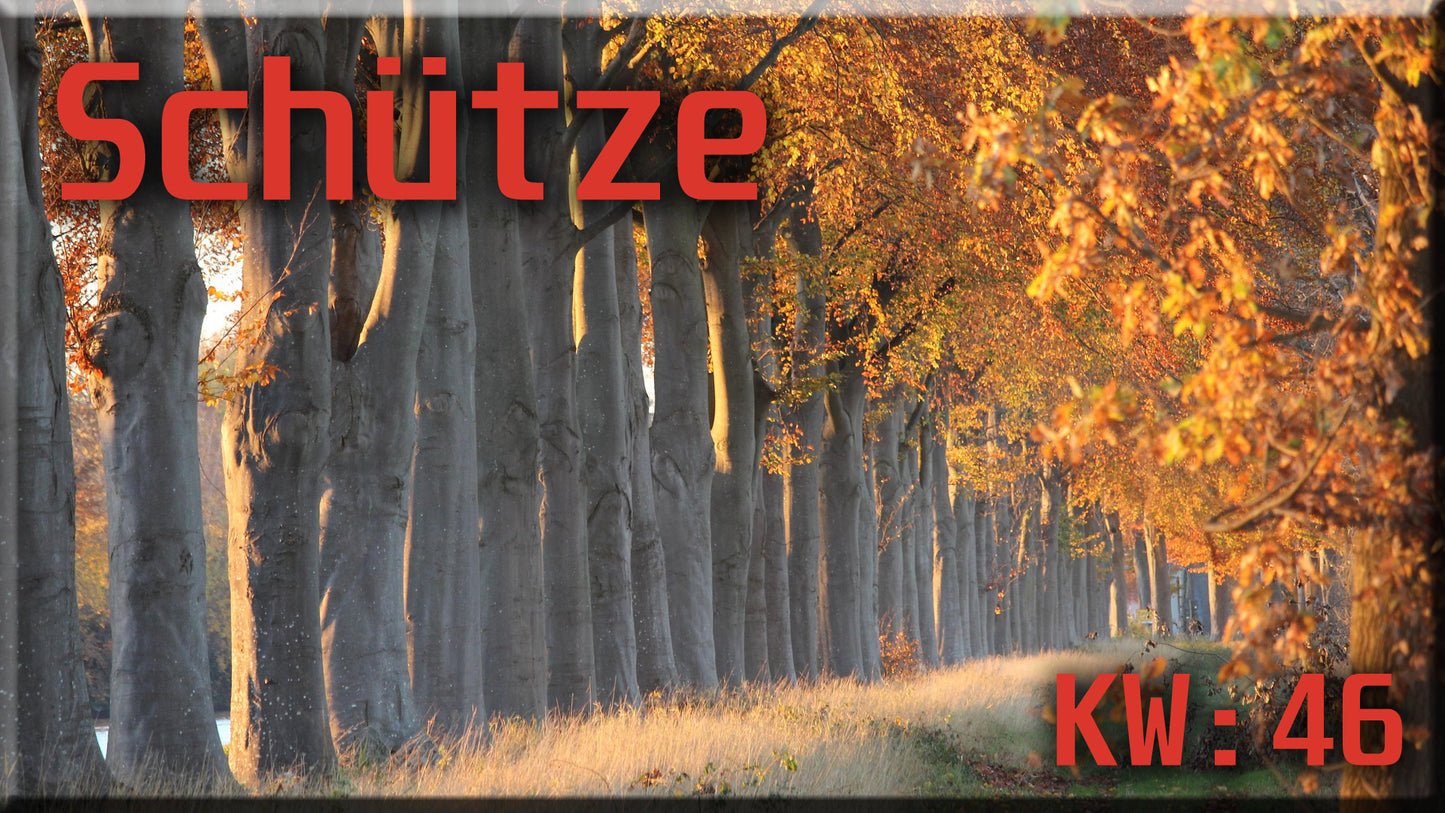 ♐ Schütze - KW 46 ♐