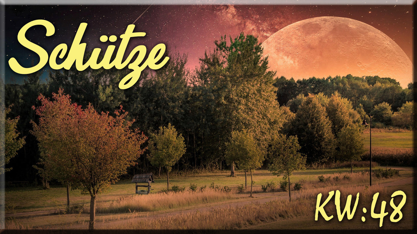 ♐ Schütze - KW 48 ♐