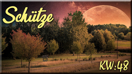 ♐ Schütze - KW 48 ♐