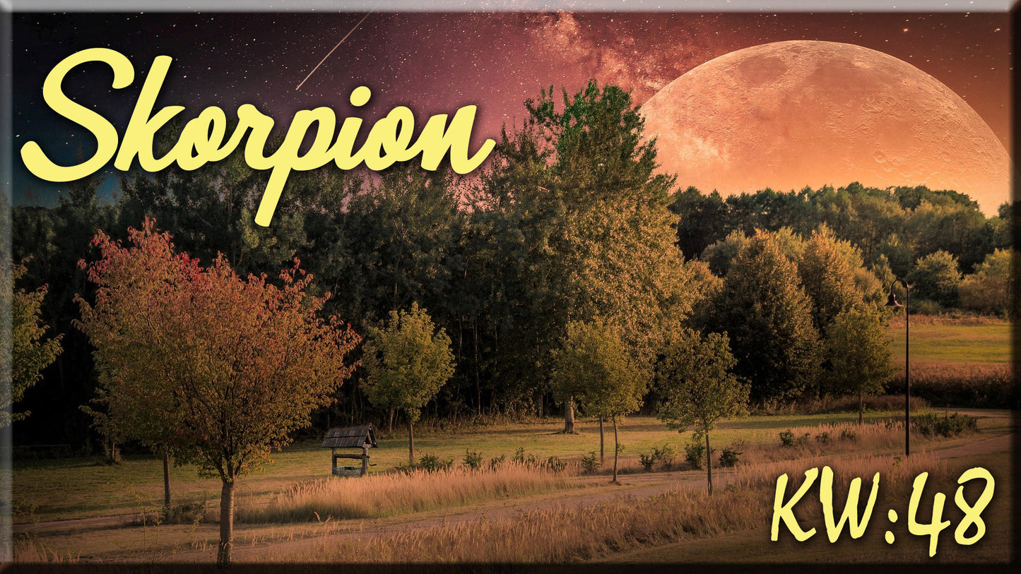 ♏ Skorpion - KW 48 ♏