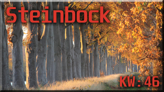 ♑ Steinbock - KW 46 ♑