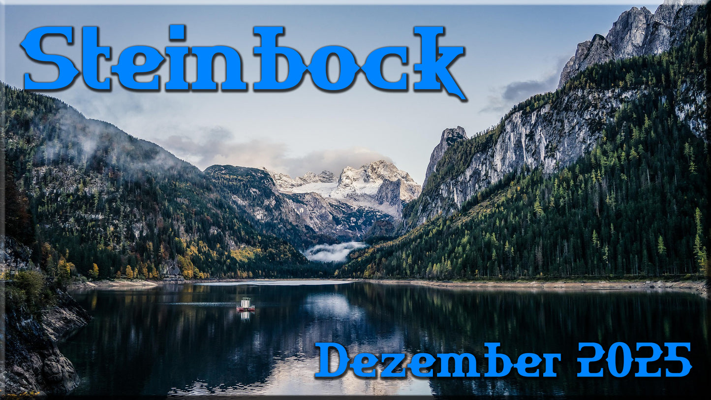 ♑ Steinbock - Dezember 2025 ♑