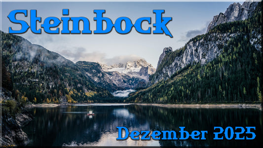♑ Steinbock - Dezember 2025 ♑