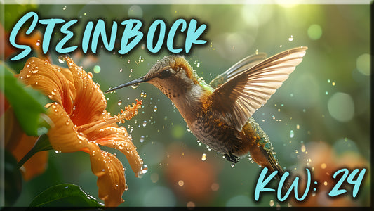 ♑ Steinbock - KW 24 ♑