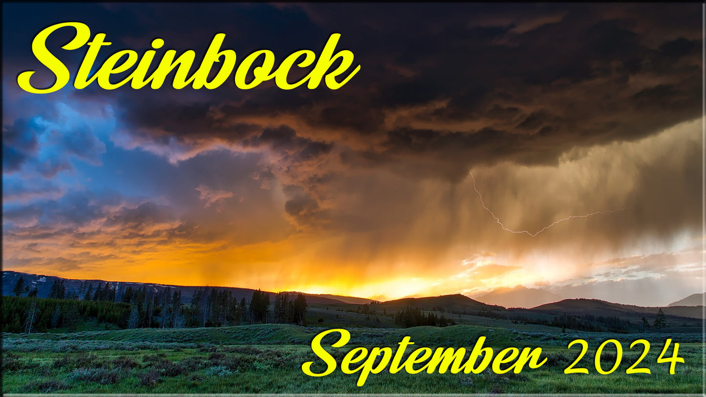 ♑ Steinbock - September 2024 ♑