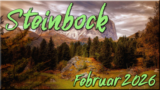 ♑ Steinbock - Februar 2026 ♑