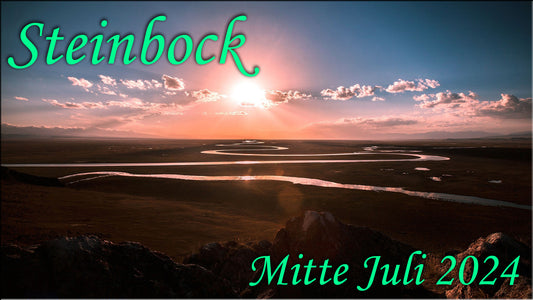 ♑ Steinbock - Mitte Juli 2024 ♑