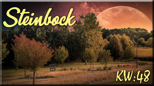 ♑ Steinbock - KW 48 ♑