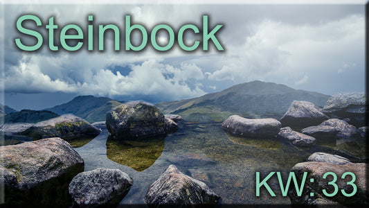 ♑ Steinbock - KW 33 ♑