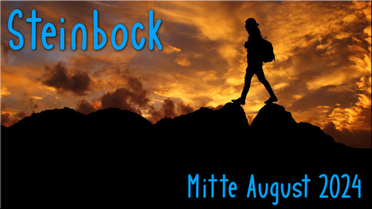 ♑ Steinbock - Mitte August 2024 ♑