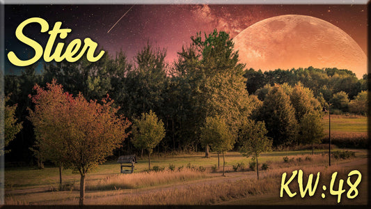 ♉ Stier - KW 48 ♉