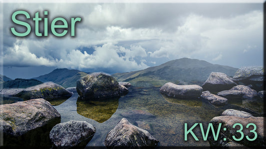 ♉ Stier - KW 33 ♉