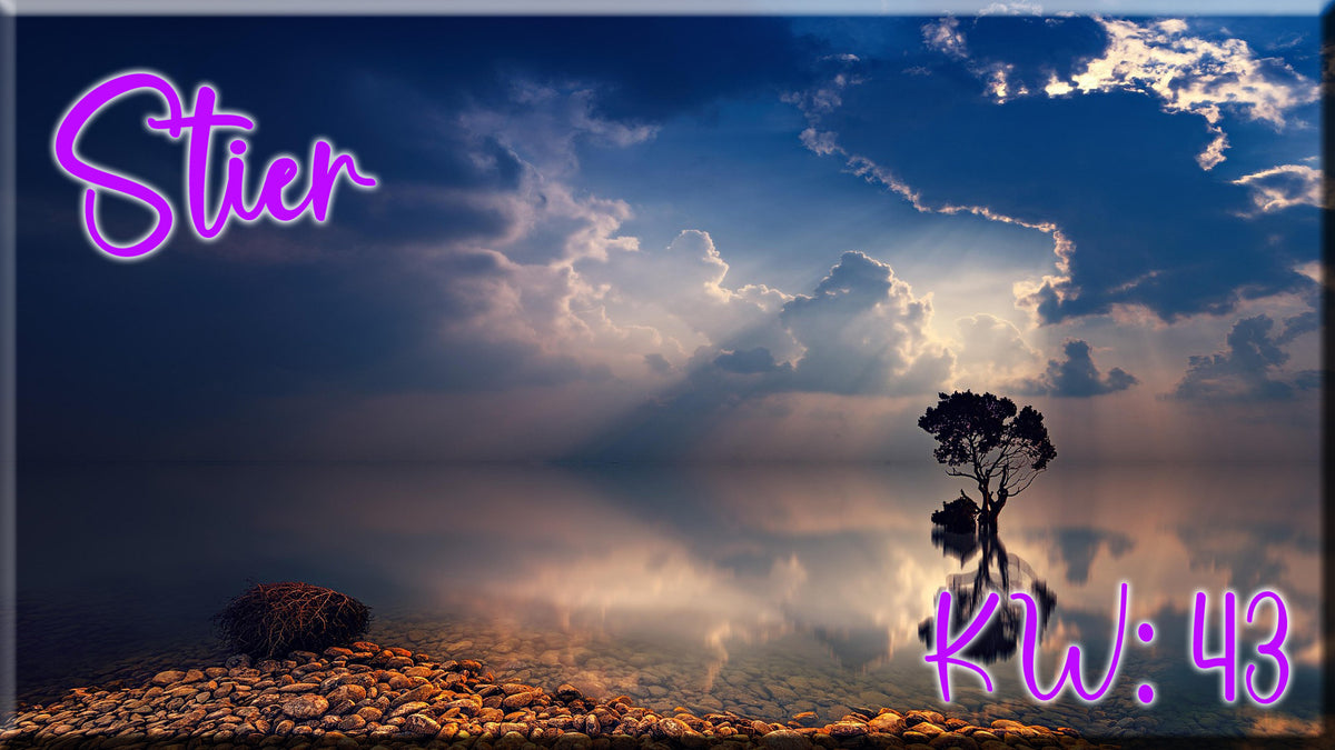♉ Stier - KW 43 ♉