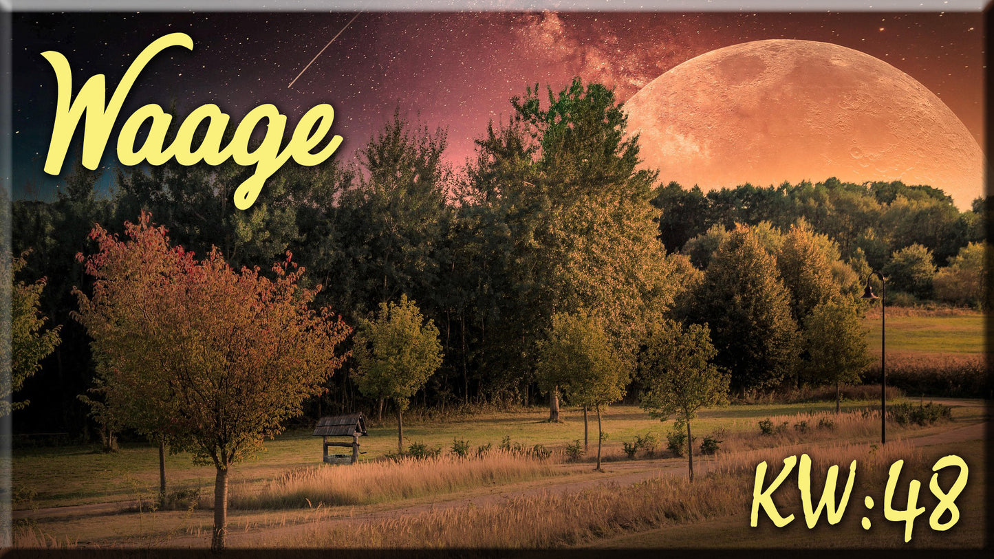 ♎ Waage - KW 48 ♎