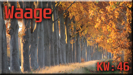 ♎ Waage - KW 46 ♎