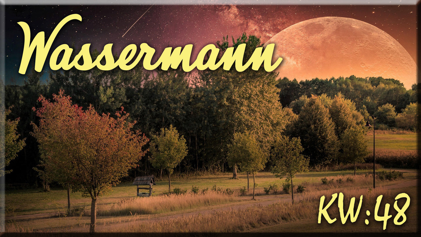 ♒ Wassermann - KW 48 ♒