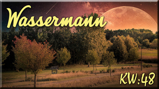 ♒ Wassermann - KW 48 ♒