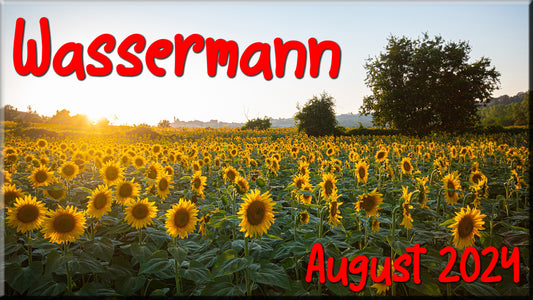 ♒ Wassermann - August 2024 ♒