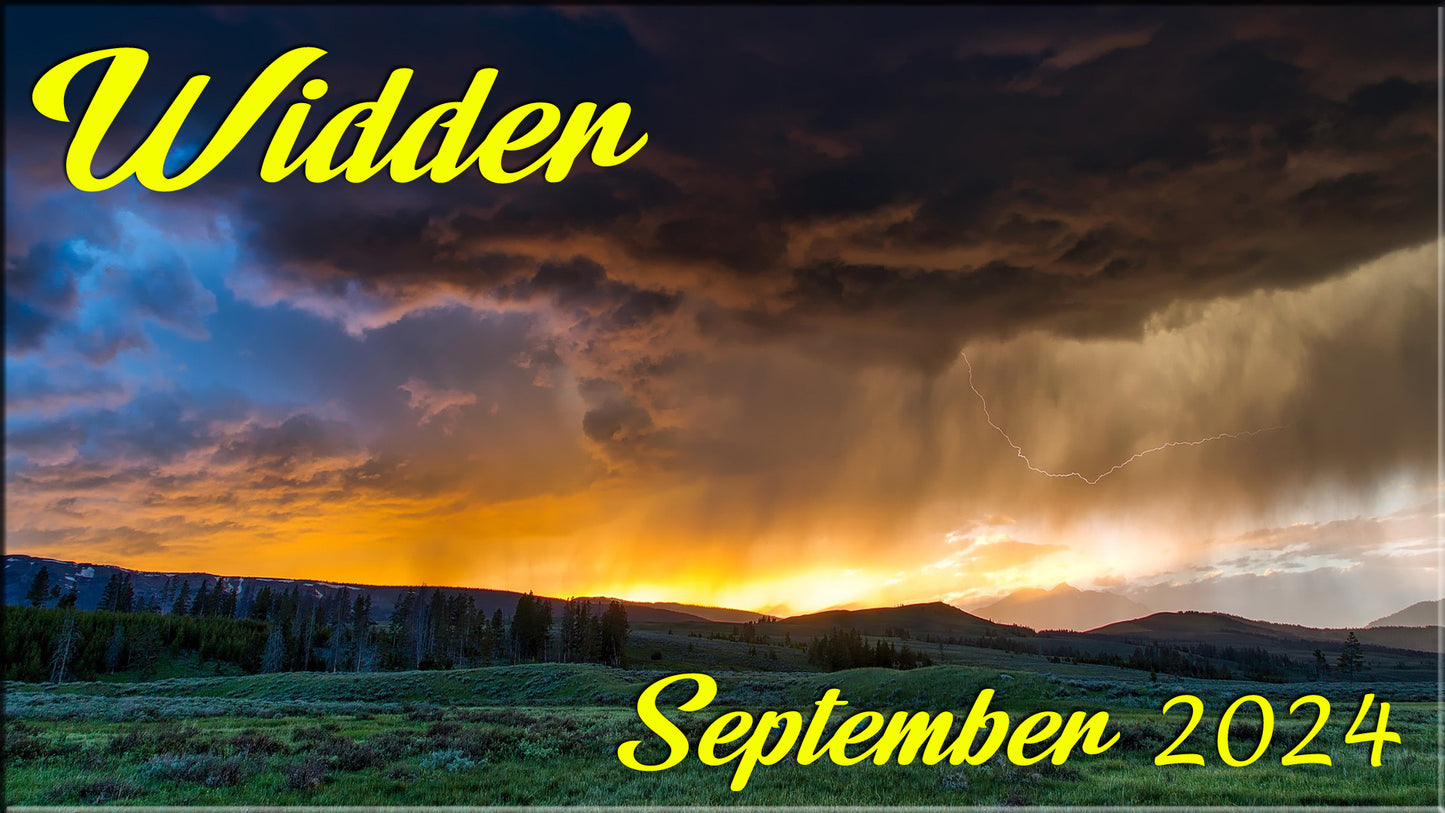 ♈ Widder - September 2024 ♈