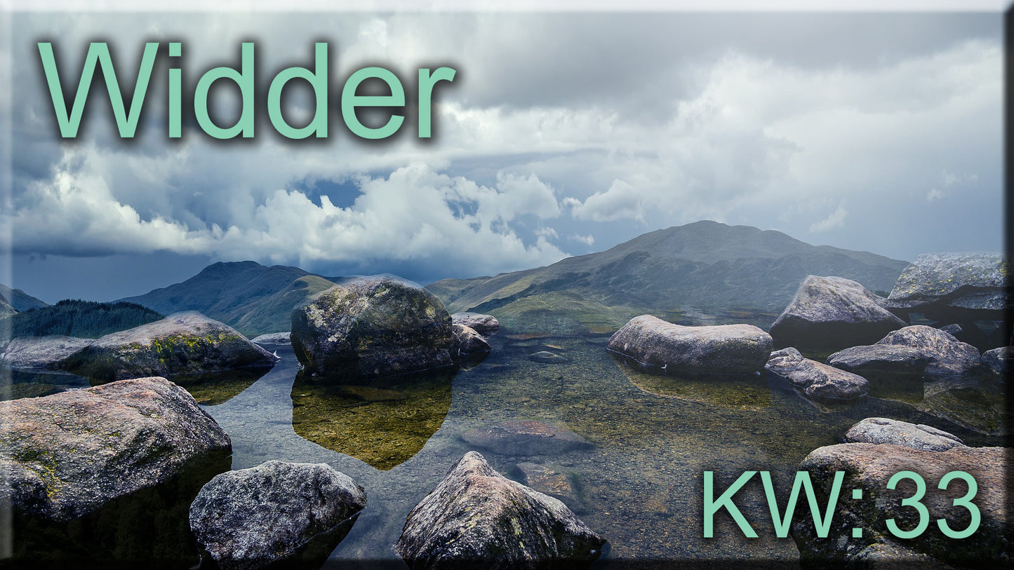 ♈ Widder - KW 33 ♈
