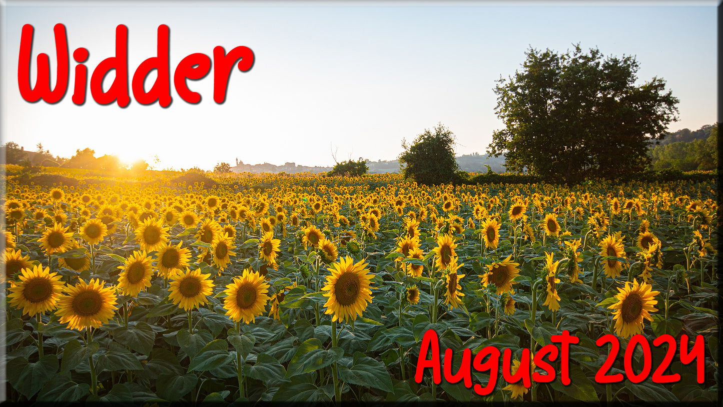 ♈ Widder - August 2024 ♈