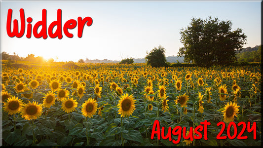 ♈ Widder - August 2024 ♈