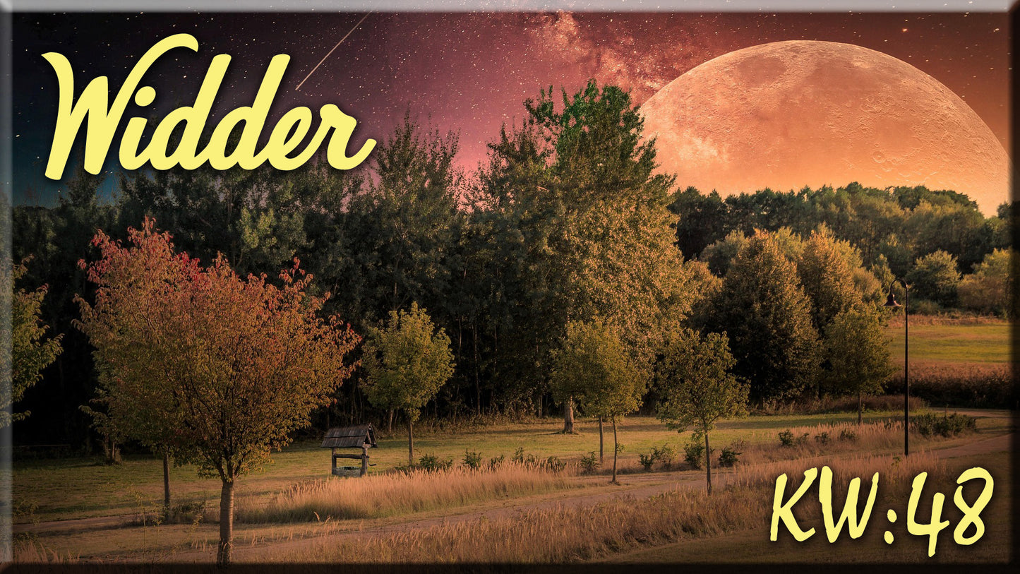♈ Widder - KW 48 ♈
