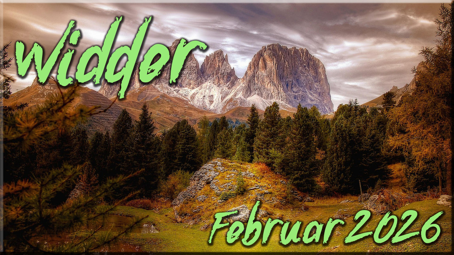 ♈ Widder - Februar 2026 ♈