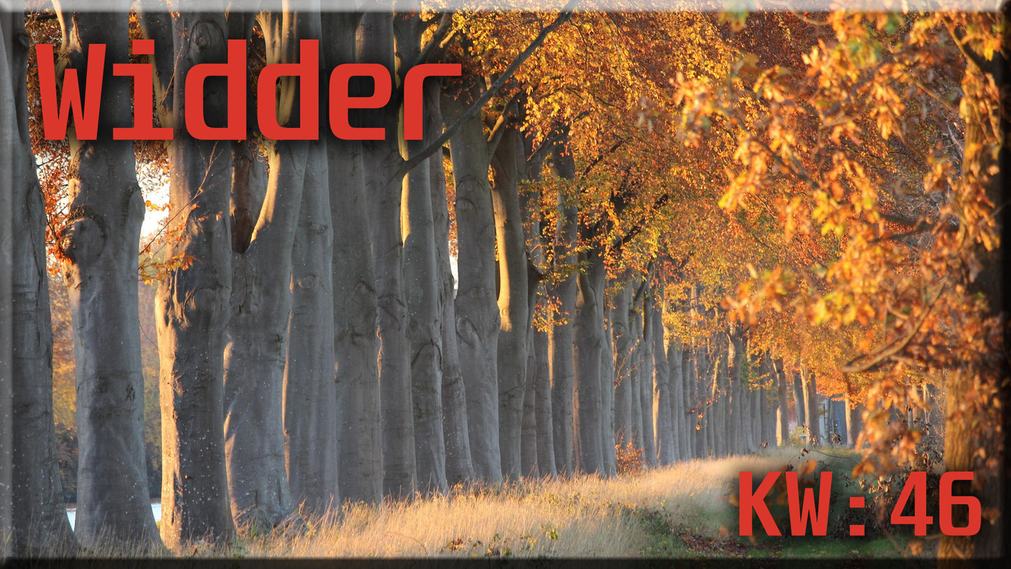 ♈ Widder - KW 46 ♈