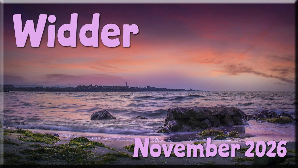 ♈ Widder - November 2026 ♈