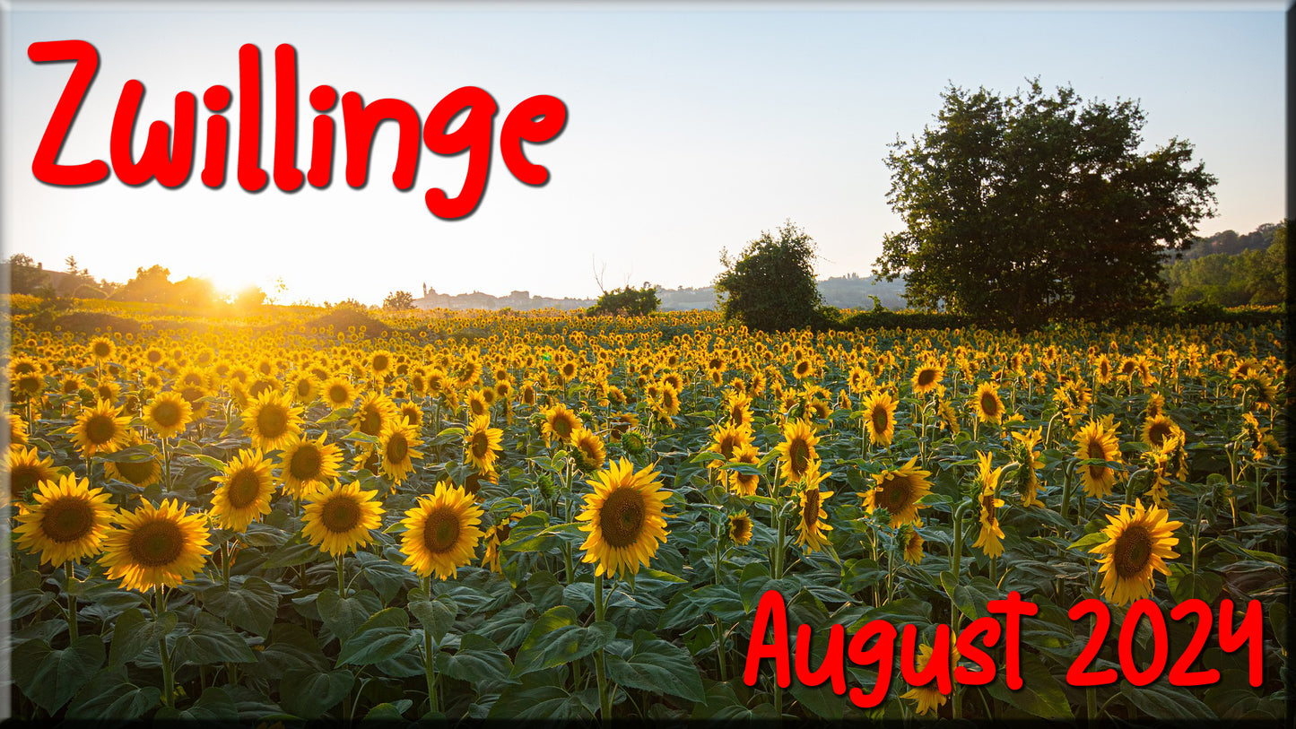 ♊ Zwillinge - August 2024 ♊