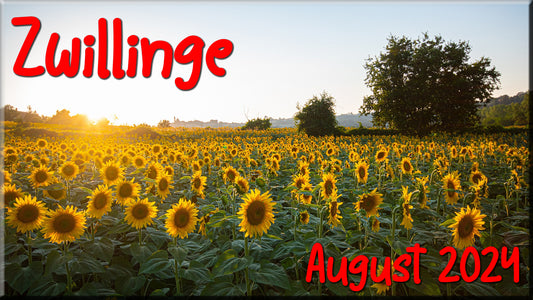 ♊ Zwillinge - August 2024 ♊