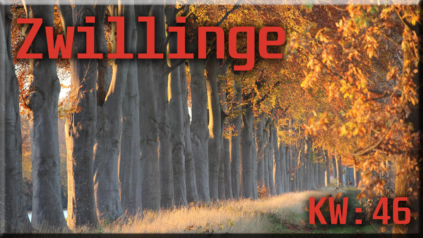 ♊ Zwillinge - KW 46 ♊