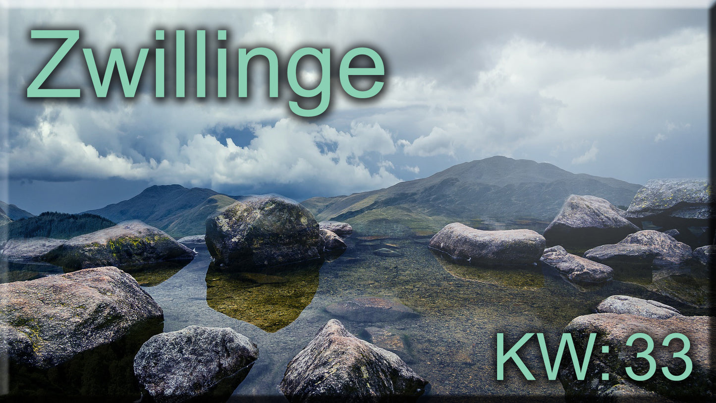♊ Zwillinge - KW 33 ♊